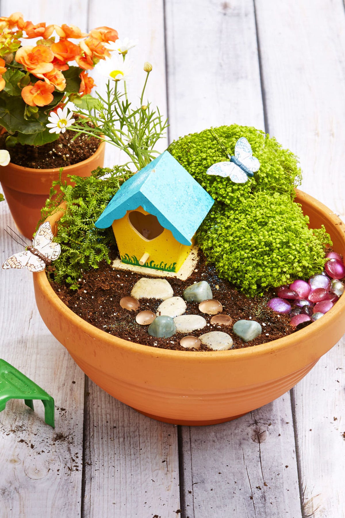 images of fairy gardens tree fairy garden ideas 16 best fairy garden ideas supplies and accessories images of fairy gardens tree fairy garden ideas 16 best fairy garden ideas supplies and accessories